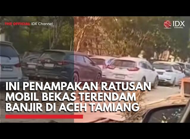 Ini Penampakan Ratusan Mobil Bekas Terendam Banjir di Aceh Tamiang | IDXC UPDATE