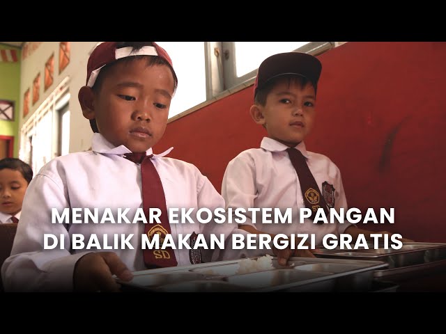 Menakar Ekosistem Pangan Di Balik Makan Bergizi Gratis