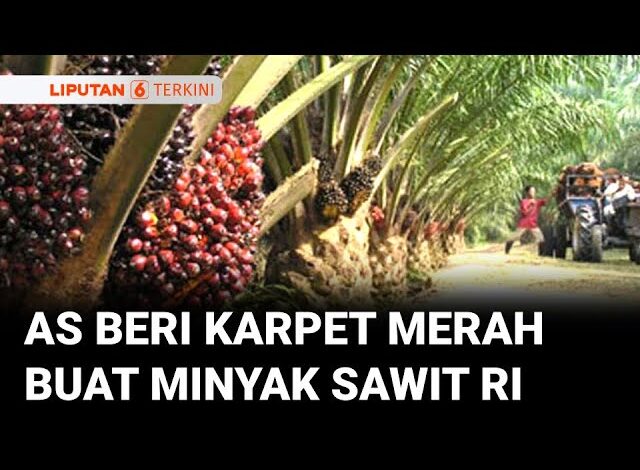 Airlangga: AS Beri Tarif Khusus Untuk Minyak Sawit, Kopi, & Teh dari Indonesia | Liputan 6