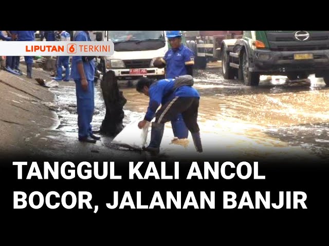 Tanggul Kali Ancol Bocor: Air Tumpah ke Jalan, Karung Pasir Jadi Solusi