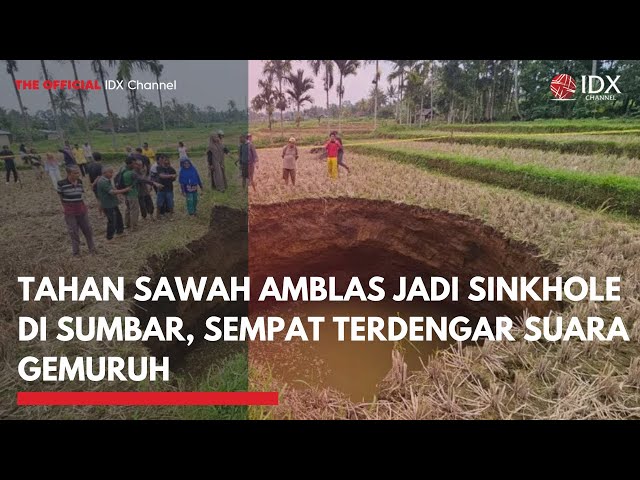 Tanah Sawah Amblas Jadi Sinkhole di Sumbar, Sempat Terdengar Suara Gemuruh | IDXC UPDATE