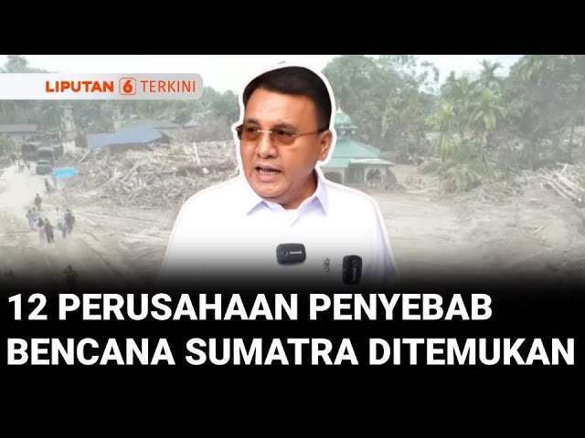Satgas PKH Temukan 12 Perusahaan Diduga Penyebab Bencana Alam di Tiga Provinsi Sumatra | Liputan 6