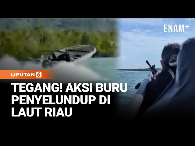 Aksi Kejar Kejaran Memburu Penyelundup Di Laut Kepri | Liputan6