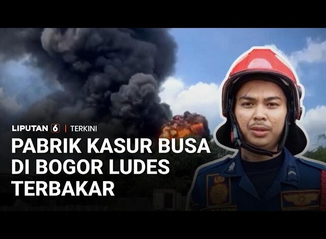 Kebakaran Pabrik Kasur Busa di Bogor, Diduga Akibat Korsleting Listrik