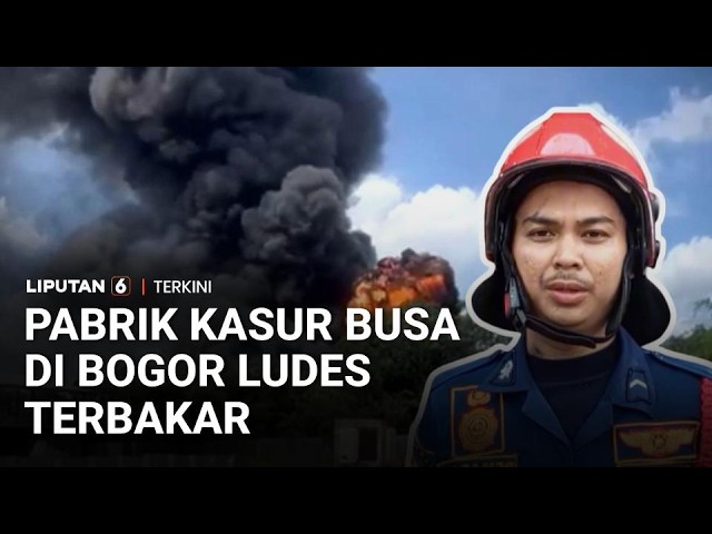 Kebakaran Pabrik Kasur Busa di Bogor, Diduga Akibat Korsleting Listrik
